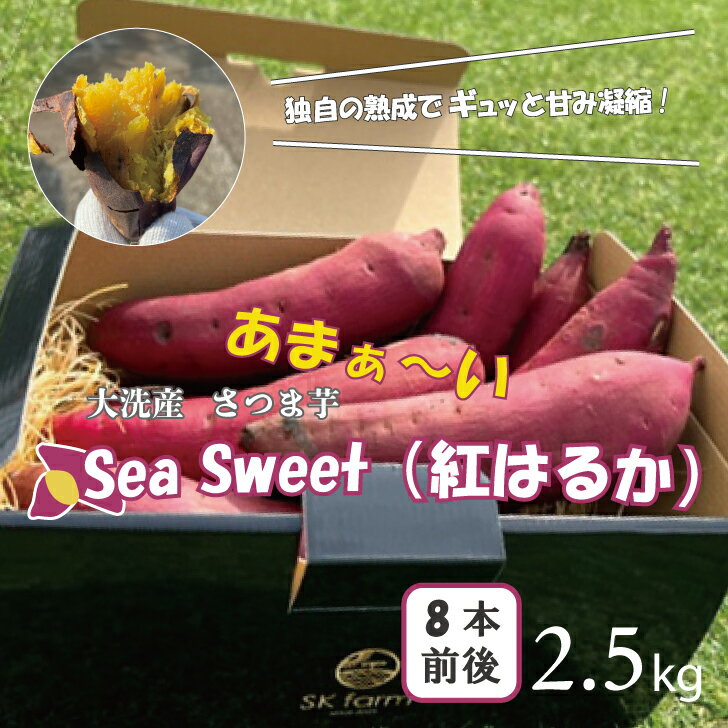 大洗産 さつまいも 紅はるか 2.5kg (8本前後) 「Sea Sweet」 長期熟成 茨城県産 サツマイモ 土付き 生芋 芋 さつま芋 薩摩芋 甘藷 べにはるか