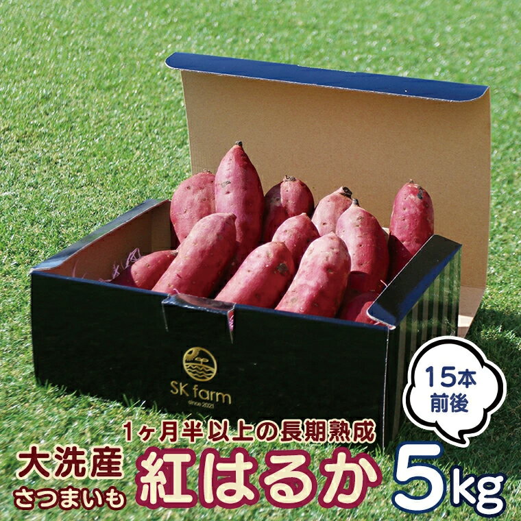 【ふるさと納税】大洗産 さつまいも 紅はるか 5kg （15