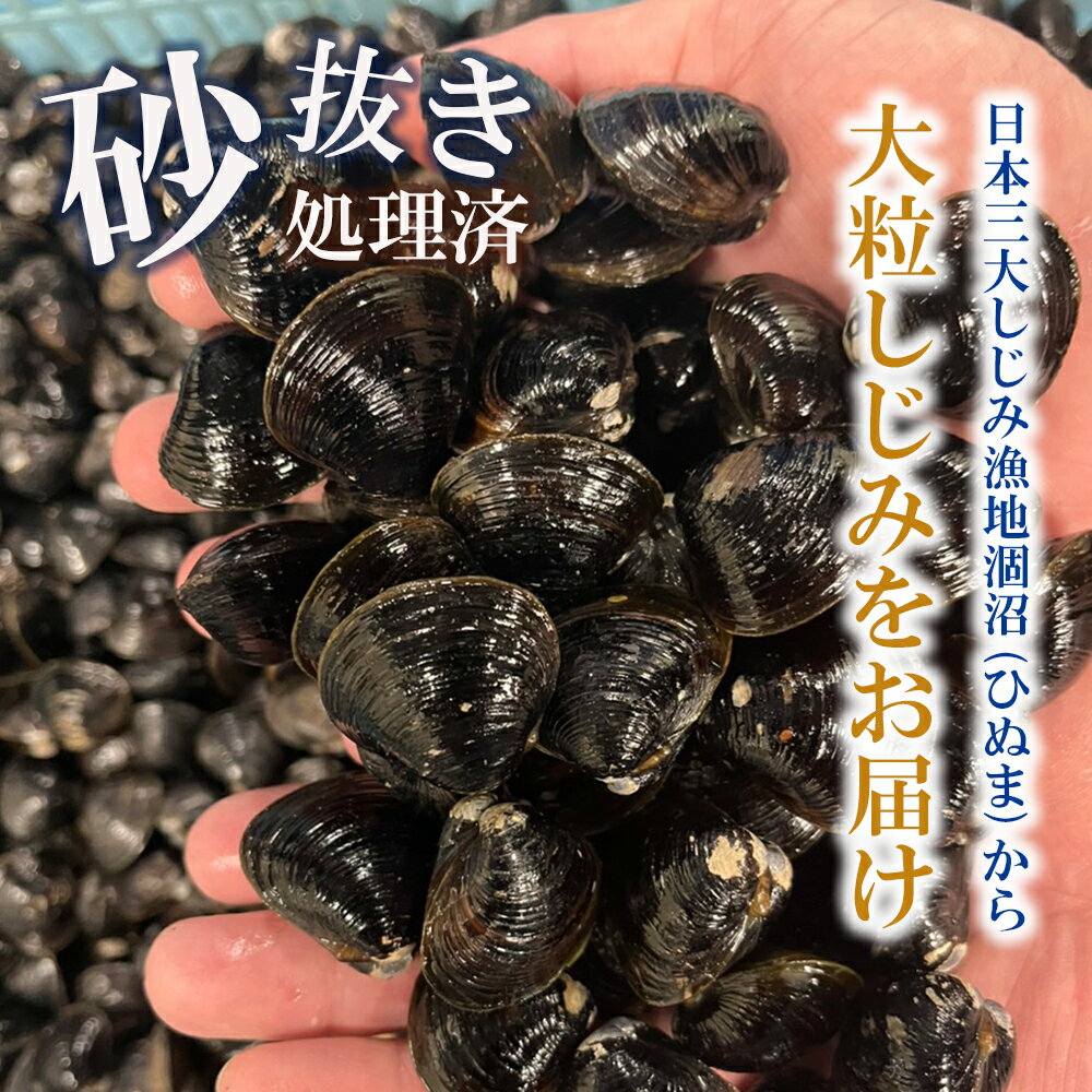 【ふるさと納税】涸沼産 大粒 冷凍 シジミ 1.6kg （400g×4袋） しじみ 蜆 大和しじみ ヤマトシジミ 大玉 砂抜き済 冷凍 味噌汁 スープ 魚貝類 貝 オルニチン コハク酸 小分け