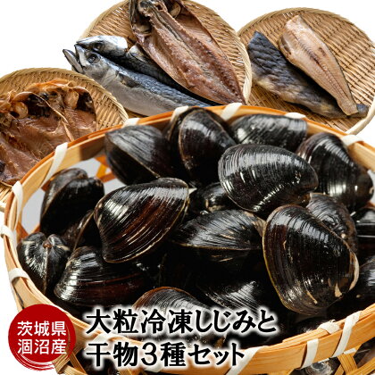 涸沼産 大粒 冷凍 シジミ 1.5kg 干物 3点セット （サバ ホッケ 目光） しじみ 蜆 大和しじみ ヤマトシジミ 大玉 砂抜き済 冷凍 味噌汁 スープ 魚貝類 貝 オルニチン コハク酸 サバ ホッケ 目光 小分け