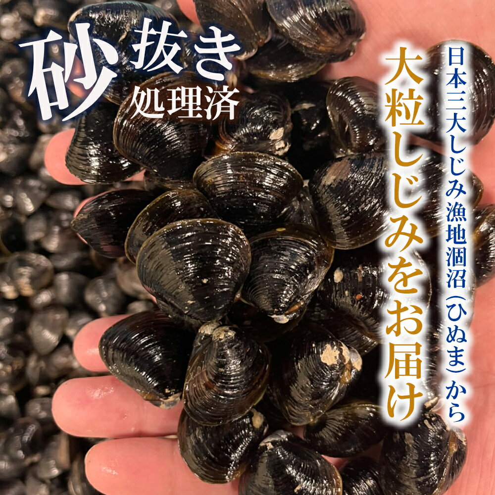 【ふるさと納税】涸沼産 大粒 冷凍 シジミ 1.5kg 干物 3点セット （サバ ホッケ 目光） しじみ 蜆 大和しじみ ヤマトシジミ 大玉 砂抜き済 冷凍 味噌汁 スープ 魚貝類 貝 オルニチン コハク酸 サバ ホッケ 目光 小分け