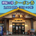 天然温泉 潮騒の湯 クーポン券 3000円分（1000円×3枚） 露店風呂 サウナ おんせん 大洗サンビーチ 海鮮 魚介 食事 宿泊 チケット 利用券 アウトドア 旅行