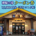 【ふるさと納税】天然温泉 潮騒の湯 クーポン券 15000円分(1000円×15枚) 露店風呂 サウナ おんせん 大洗サンビーチ 海鮮 魚介 食事 宿泊 チケット 利用券 アウトドア 旅行