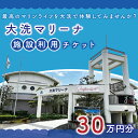 【ふるさと納税】大洗マリーナ 利用券(30万円分) 施設利用 チケット 利用券 係留料 艇置料 レジャー 体験 観光 旅行 釣り フィッシング 大洗町 大洗