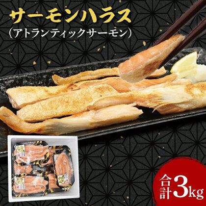 サーモン ハラス 3kg (200g×15p) アトランティックサーモン 鮭 鮭はらす 干物 ひもの 大洗町 焼魚 焼き魚 魚 魚介 海鮮 海産物 冷凍 工場直送 おかず おつまみ