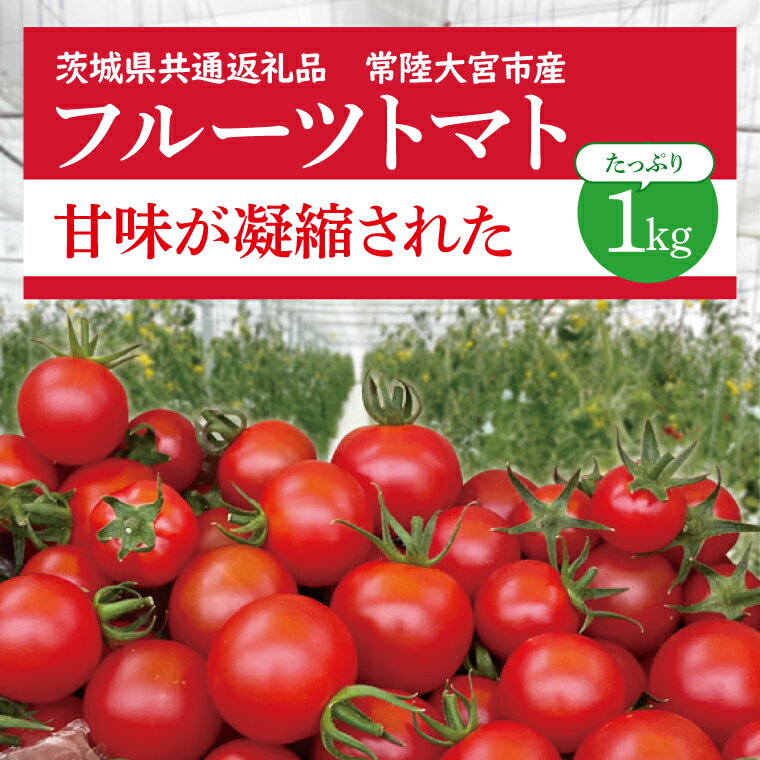 フルーツトマト 1kg フルティカ 高糖度トマト 次世代農法 冷蔵配送 ( 茨城県共通返礼品 ・ 常陸大宮市産 ） アイメック農法 フィルム農法 旬 新鮮 野菜 採れたて 産地直送 SDGs 再生可能エネルギー 常陸太陽の庭