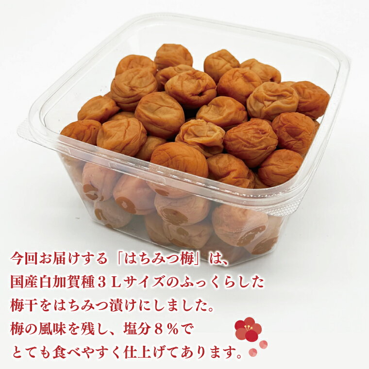 【ふるさと納税】はちみつ梅 1kg 減塩 昔ながら 老舗 伝統 国産 大洗 大洗町 梅干し 梅干 梅 うめぼし うめ