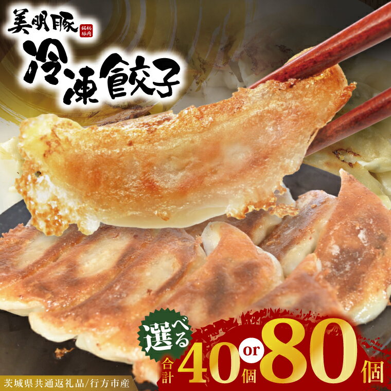 [選べる内容量]冷凍餃子 40個(20個×2袋)・80個(20個×4袋) ブランド豚 「 美明豚 」(茨城県共通返礼品・行方市産) 小分け 餃子 ギョウザ 国産 豚肉 野菜 惣菜 おかず フライパン