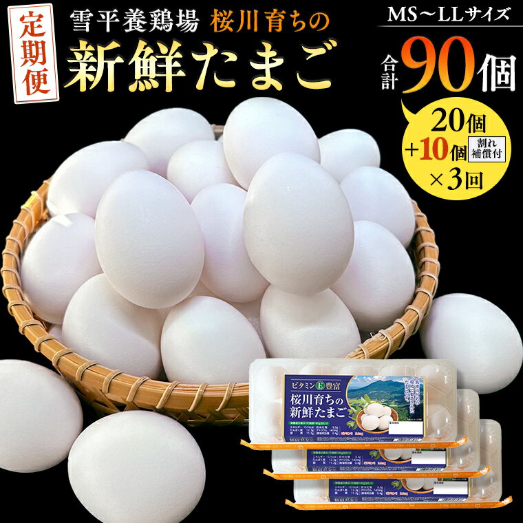 【ふるさと納税】 【 3回 定期便 】 雪平養鶏場 桜川育ちの 新鮮 たまご 合計30個（20個＋10個割れ補償付) ×3回 たまごかけご飯 玉子 生卵 鶏卵 TKG