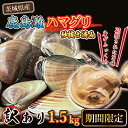 【ふるさと納税】期間限定 鹿島灘 ハマグリ 訳あり 1.5kg 砂抜き済み はまぐり 蛤 わけあり 国産 天然 茨城県産 鹿島灘産 焼き蛤 BBQ ..