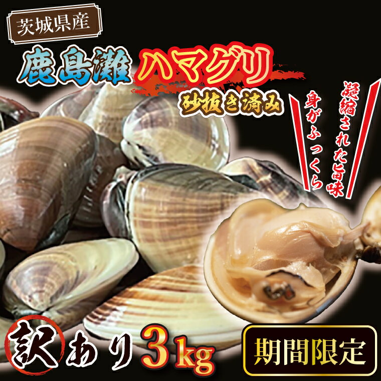 【ふるさと納税】期間限定 鹿島灘 ハマグリ 訳あり 3kg 砂抜き済み はまぐり 蛤 わけあり 国産 天然 茨城県産 鹿島灘産 焼き蛤 BBQ おせち お雑煮 お吸い物 ラーメン パスタ