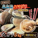 【ふるさと納税】期間限定 鹿島灘 ハマグリ 訳あり 3kg 砂抜き済み はまぐり 蛤 わけあり 国産 天然 茨城県産 鹿島灘産 焼き蛤 BBQ お..