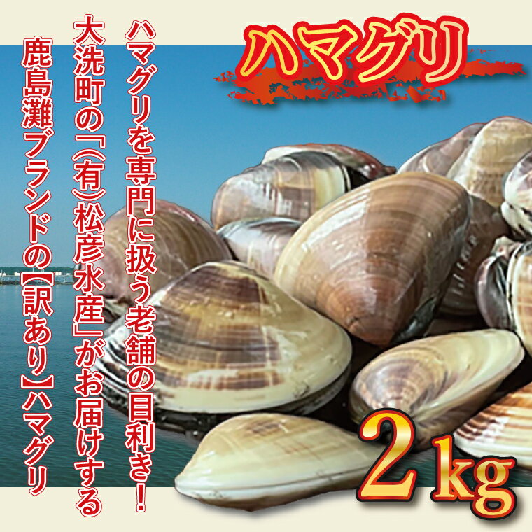 【ふるさと納税】期間限定 鹿島灘 ハマグリ 訳あり 2kg 砂抜き済み はまぐり 蛤 わけあり 国産 天然 茨城県産 鹿島灘産 焼き蛤 BBQ おせち お雑煮 お吸い物 ラーメン パスタ