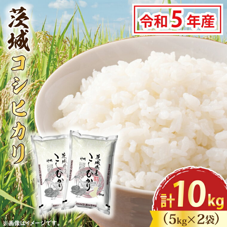 令和5年産 茨城 コシヒカリ 10kg (5kg×2袋) 米 お米 おこめ 白米 ライス ご飯 精米 こしひかり 国産 茨城県産
