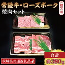 【ふるさと納税】【 ギフト用 】【常陸牛・ローズポーク焼肉セット(2~3人前)】 常陸牛 カルビ 約180g ローズポーク 約200g (ロース100g ばら100g) ( 茨城県共通返礼品 ) ブランド牛 茨城 国産 黒毛和牛 霜降り 牛肉 ブランド豚 豚肉 冷凍 内祝い 誕生日 お中元 贈り物 お祝い