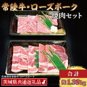 【ふるさと納税】【常陸牛・ローズポーク焼肉セット(7~9人前)】 常陸牛 カルビ 約780g ローズポーク 約600g (ロース300g ばら300g)(茨城県...