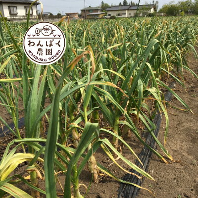 【ふるさと納税】わんぱく農園の黒にんにく【配送不可地域：離島】【1256473】