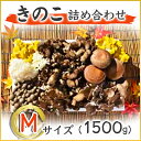 5位! 口コミ数「1件」評価「5」きのこの詰め合わせ　Mサイズ(1.500g)【配送不可地域：離島】【1257864】