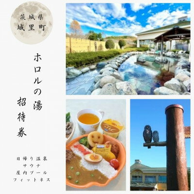 【ふるさと納税】ホロルの湯 招待券 10枚【配送不可地域：離島】【1259604】