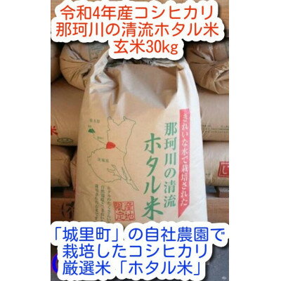 那珂川の清流ホタル米 玄米30kg 検査1等米令和4年産コシヒカリ (玄米)