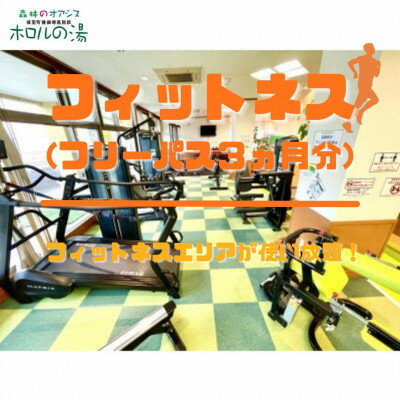 楽天茨城県城里町【ふるさと納税】ホロルの湯　フィットネス（フリー3ヵ月）【配送不可地域：離島】【1349995】