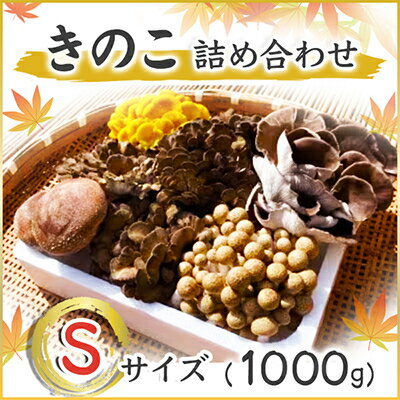 きのこの詰め合わせSサイズ(1000g)[配送不可地域:離島]