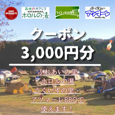 [城里町ホロルの湯、ふれあいの里、うぐいすの里、アツマーレBBQで使えるクーポン券]3,000円分[配送不可地域:離島]