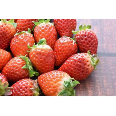 【ふるさと納税】【2024年12月より順次発送】赤いちごと白いちごの　宝石箱　36粒 (県内共通返礼品:石岡市産)【配送不可地域：離島・北海道・沖縄県・信越、北陸・東海・近畿・中国・四国・九州】【1398939】