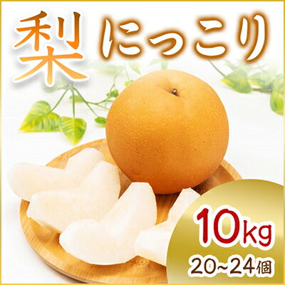 【ふるさと納税】【2025年10月より順次発送予定】にっこり 10kg 20〜24個(県内共通返礼品:石岡市産)【配送不可地域:離島・沖縄県】 (BR014)
