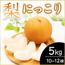 【ふるさと納税】【2024年11月上旬より順次発送予定】にっこり　5kg　10～12個(県内共通返礼品:石岡市産)【配送不可地域：離島・沖縄県..