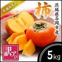 【ふるさと納税】【2025年10月より順次発送予定】訳あり 柿 5kg(県内共通返礼品:石岡市産)【配送不可地域:離島・沖縄県】 (BR069)