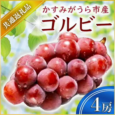 【ふるさと納税】【2024年9月上旬より順次発送予定】ゴルビー　4房(県内共通返礼品:かすみがうら市産)...