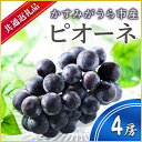 【ふるさと納税】【2025年7月より順次発送予定】ピオーネ 4房(県内共通返礼品:かすみがうら市産)【配送不可地域:離島・沖縄県】 (BR059)