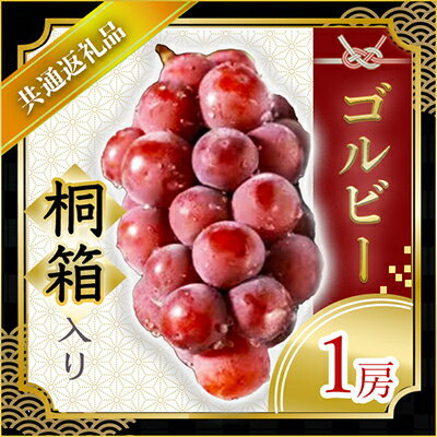 【ふるさと納税】【2024年9月より順次発送予定】ゴルビー　桐箱入り1房(県内共通返礼品:かすみがうら市産)【配送不可地域：離島・沖縄県】【1401755】