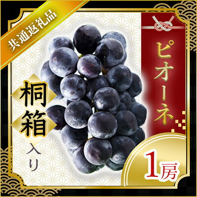 25位! 口コミ数「0件」評価「0」【2024年9月より順次発送予定】ピオーネ　桐箱入り1房(県内共通返礼品:かすみがうら市産)【配送不可地域：離島・沖縄県】【1401757】