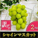 名称 【2024年7月より順次発送予定】訳ありシャインマスカット2kg(県内共通返礼品:かすみがうら市産) 保存方法 冷蔵 発送時期 2024-07-01～2024-10-31 提供元 オーシャンファーム　城里町 配達外のエリア 離島、沖縄県 お礼品の特徴 茨城の美味いをお届け! 房からはずれていたり、サイズがバラバラなものになります。 ■お礼品の内容について ・訳あり　　シャインマスカット[2kg] 　　原産地:茨城県 　　消費期限:出荷日+4日 ■注意事項/その他 ※収穫状況により、発送予定から前後する場合がございます。 ※生鮮物ですので期限は目安となります。状態をよくご確認の上、お早めにお召し上がり下さい。 ・ふるさと納税よくある質問はこちら ・寄附申込みのキャンセル、返礼品の変更・返品はできません。あらかじめご了承ください。このお礼品は以下の地域にはお届けできません。 ご注意ください。 離島、沖縄県