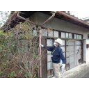 茨城県城里町の画像3