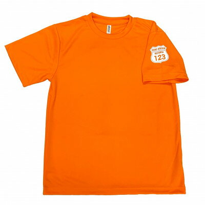 【ふるさと納税】オリジナルワッペン入りTシャツ(オレンジ)　Мサイズ【配送不可地域：離島】 (AF018)