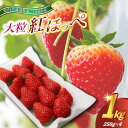 【ふるさと納税】2025年12月より順次発送 紅ほっぺ大粒250g(8〜12粒)×4pc(県内共通返礼品:石岡市産)【配送不可地域:離島・沖縄県】 (BR031...