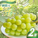【ふるさと納税】シャインマスカット 桐箱入り2房(県内共通返礼品:かすみがうら市産)【配送不可地域:離島・沖縄県】 (BR089)