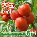 【ふるさと納税】大玉トマト 6kg (県内共通返礼品:つくばみらい市産)【配送不可地域:離島・沖縄県】 (BR094)
