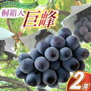 【ふるさと納税】【2025年8月より順次発送予定】巨峰 桐箱入り2房(県内共通返礼品:かすみがうら市産)【配送不可地域:離島・沖縄県】 (BR097)