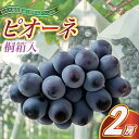 【ふるさと納税】【2025年7月より順次発送予定】ピオーネ 桐箱入り2房(県内共通返礼品:かすみがうら市産)【配送不可地域:離島・沖縄県】 (BR101)
