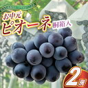 【ふるさと納税】【2025年8月より順次発送予定】お中元 ピオーネ桐箱入り2房 (県内共通返礼品:かすみがうら市産)【配送不可地域:離島・沖縄県】 (BR105)