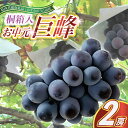 【ふるさと納税】【2025年8月より順次発送予定】お中元 巨峰桐箱入り2房 (県内共通返礼品:かすみがうら市産)【配送不可地域:離島・沖縄県】 (BR108)