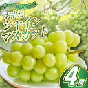 【ふるさと納税】【2025年8月より順次発送予定】お中元 シャインマスカット4房(県内共通返礼品:かすみがうら市産)【配送不可地域:離島・沖縄県】 (BR113)