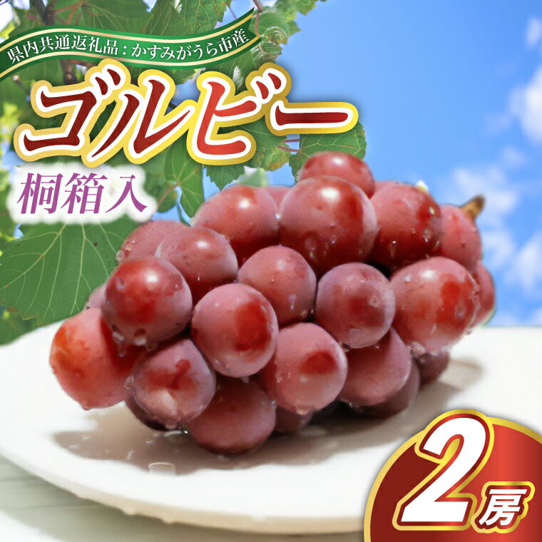 【ふるさと納税】【2025年9月より順次発送予定】ゴルビー 桐箱入り2房(県内共通返礼品:かすみがうら市産)【配送不可地域:離島・沖縄県】 (BR115)