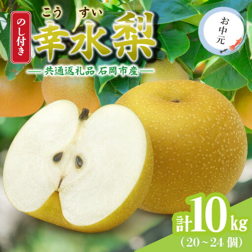 【ふるさと納税】【のし付き】お中元 幸水 10kg(20〜24個) 県内共通返礼品【配送不可地域:離島・沖縄県】 (BR149) 【ふるさと納税】【のし付き】お中元 幸水 10kg(20〜24個) 県内共通返礼品【配送不可地域:離島・沖縄県】 (BR149)