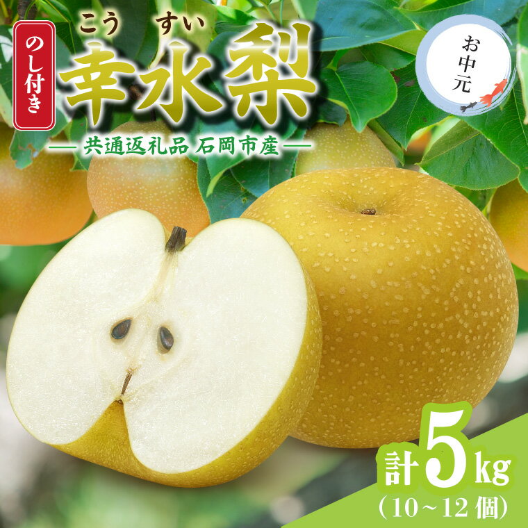 【ふるさと納税】【のし付き】お中元 幸水5kg(10〜12個) 県内共通返礼品【配送不可地域:離島・沖縄県】 (BR150)