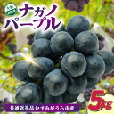 【ふるさと納税】ナガノパープル5kg 県内共通返礼品:かすみがうら市産【配送不可地域:離島・沖縄県】 (BR157)
